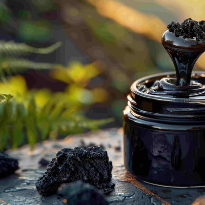 Gummies Shilajit de l’Himalaya – L’Énergie Ancienne pour votre Corps